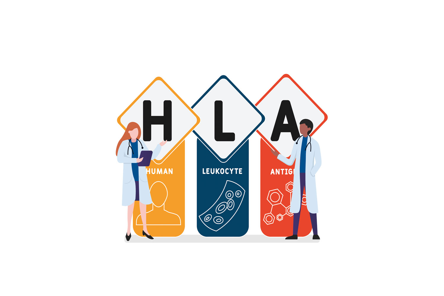 Institut f&uuml;r Transfusionsmedizin - Titelbild